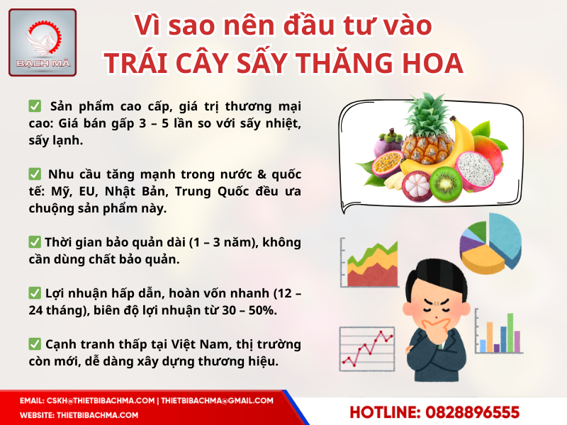 dau_tu_trai_cay_say_thang_hoa