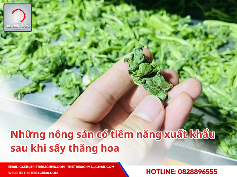 say_thang_hoa_xuat_khau_nong_san